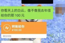 镜湖如何避免债务纠纷？专业追讨公司教您应对之策